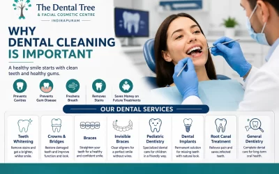 Why Dental Cleaning Is Important | Best Dental Clinic in Indirapuram